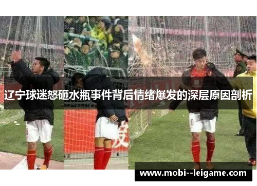 辽宁球迷怒砸水瓶事件背后情绪爆发的深层原因剖析