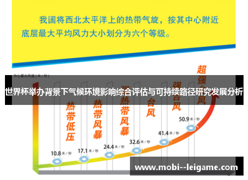 世界杯举办背景下气候环境影响综合评估与可持续路径研究发展分析 世界杯举办背景下气候环境影响综合评估与可持续路径研究发展分析