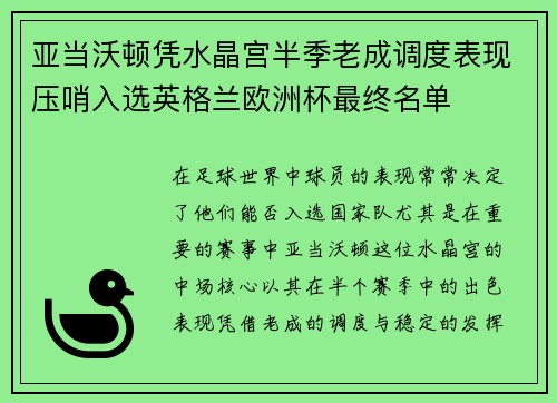 亚当沃顿凭水晶宫半季老成调度表现压哨入选英格兰欧洲杯最终名单 亚当沃顿凭水晶宫半季老成调度表现压哨入选英格兰欧洲杯最终名单